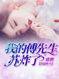 我的傅先生苏炸了 封面