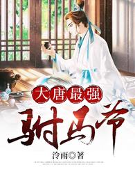 大唐最强驸马爷 封面