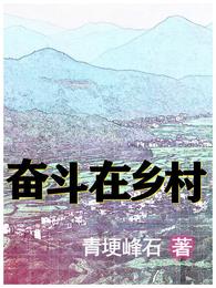 奋斗在乡村 封面