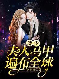 傅少，夫人马甲遍布全球！ 封面