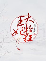 王妃太轻狂 封面