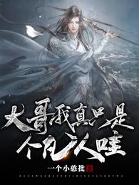 大哥,我真只是个凡人哇! 封面