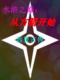 水浒之巅：从方腊开始 封面