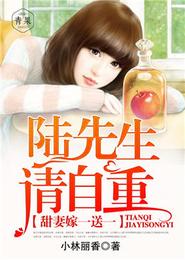 甜妻嫁一送一：陆先生，请自重 封面