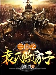 三国之袁氏败家子 封面