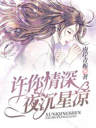 许你情深，夜沉星凉 封面