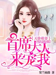 天价萌妻:首席大人来宠我 封面