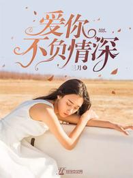 爱你不负情深 封面