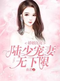 娇婚沉沉：陆少宠妻无下限 封面