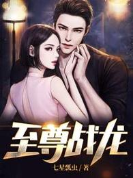 至尊战龙 封面