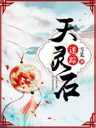 天灵石迷踪 封面