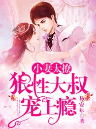 小妻太撩:狼性大叔宠上瘾 封面