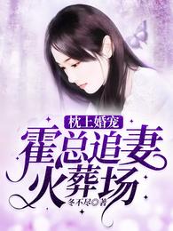 枕上婚宠:霍总追妻火葬场 封面