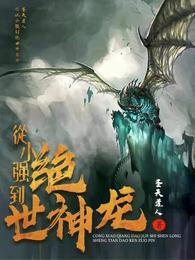 从小强到绝世神龙 封面