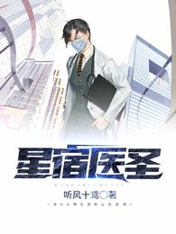 星宿医圣 封面