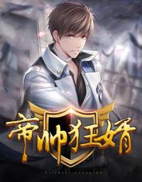 帝帅狂婿 封面