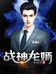 战神龙婿 封面