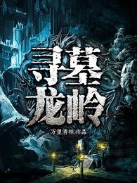 寻墓龙岭 封面