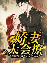 闪婚蜜宠，娇妻太会撩 封面