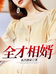 全才相婿 封面