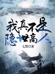 我真不是隐世高人 封面