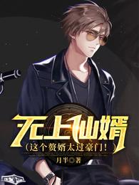 无上仙婿(这个赘婿太过豪门!) 封面