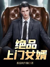 绝品上门女婿 封面