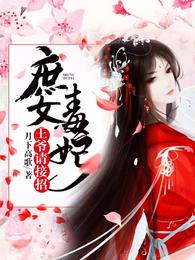庶女毒妃:王爷请接招 封面