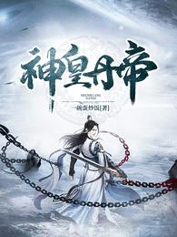 神皇丹帝 封面