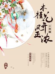 木槿花开风正浓 封面