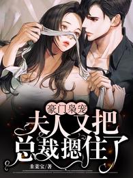 豪门枭宠：夫人又把总裁摁住了 封面