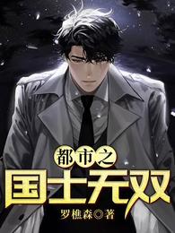 都市之国士无双 封面