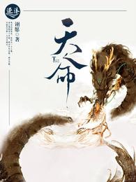 天命 封面