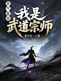 灵气复苏：我是武道宗师 封面