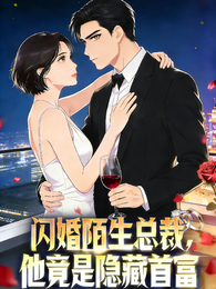 闪婚陌生总裁，他竟是隐藏 封面