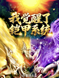 我觉醒了铠甲系统 封面