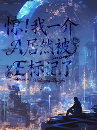 惊!我一介A居然被E标记了 封面