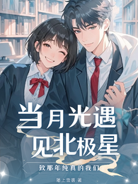 当月光遇见北极星 封面
