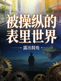 被操纵的表里世界 封面