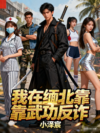 我在缅北靠武功反诈 封面