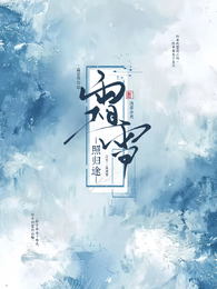 霜雪照归途 封面