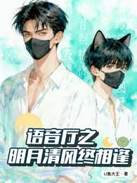 语音厅之明月清风终相逢 封面