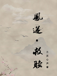 凤逆：救赎 封面