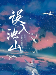 误入池山 封面
