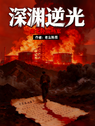 深渊逆光:缅北卧底档案 封面