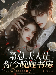 萧总,夫人让你今晚睡书房 封面