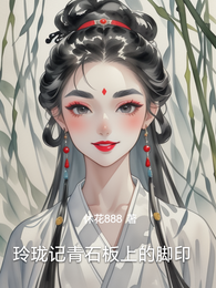 玲珑记青石板上的脚印 封面