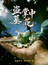 【盗墓】掌中花 封面