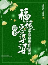 穿书福运恶婆婆，带渣崽崽们暴富 封面