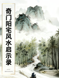 奇门阳宅风水启示录 封面
